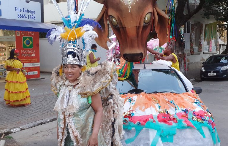 Bloco do Boi encerra carnaval no centro de PL