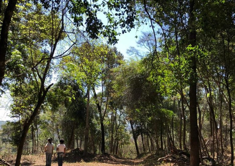 Em reunião extraordinária, Câmara vota projeto que urbaniza área de proteção do Parque do Sobrado
