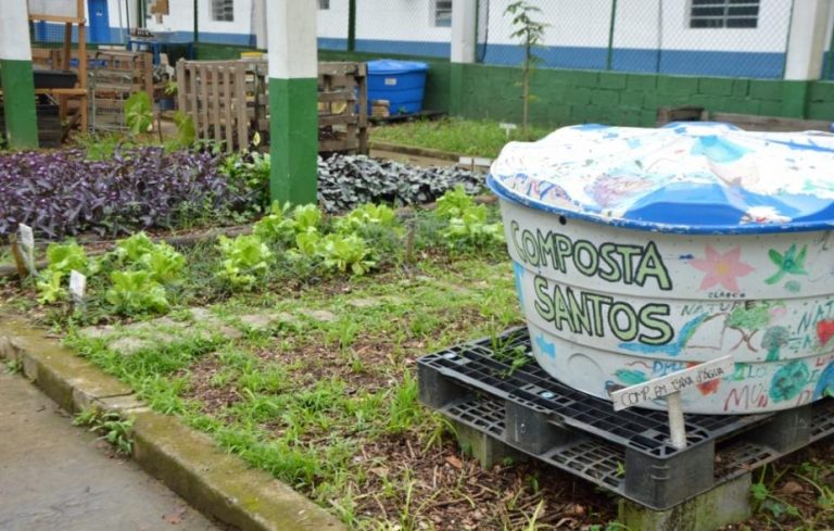 Semana da Compostagem: a natureza reaproveita o que é bom para ela