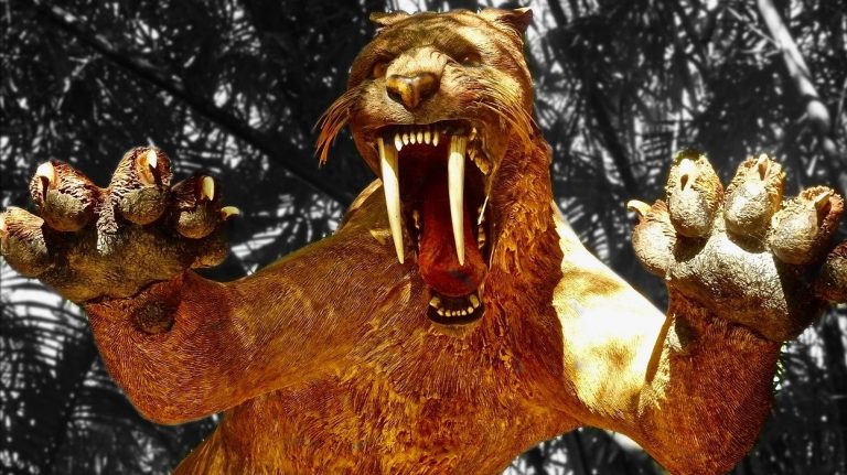 O “tigre dos dentes de sabre” é pedro-leopoldense, assim como Luzia