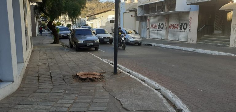 Mais uma árvore é cortada em PL….você já viu alguma sendo plantada?