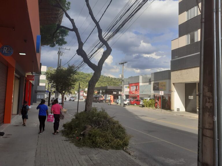 Vem aí nova onda de calor e árvore que é bom, nada