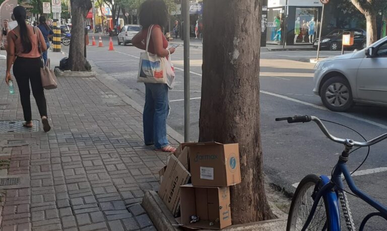 Má gestão de recicláveis pode aumentar casos de dengue