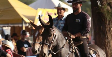 Encontro Nacional de Muladeiros celebra 25 Anos de tradição