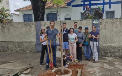 Cidadãos plantam árvores na rua Hebster