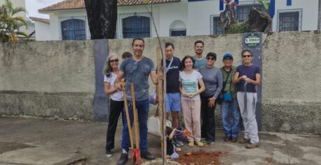 Cidadãos plantam árvores na rua Hebster