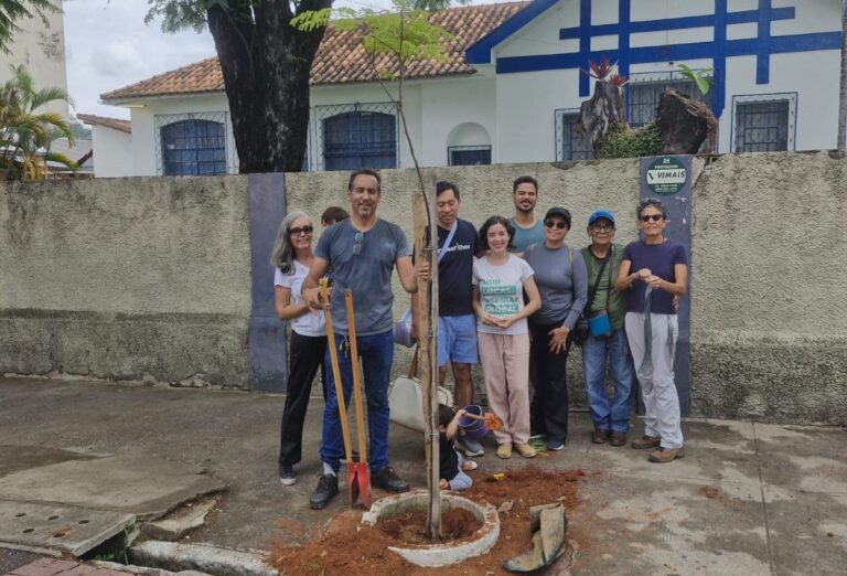 Cidadãos plantam árvores na rua Hebster
