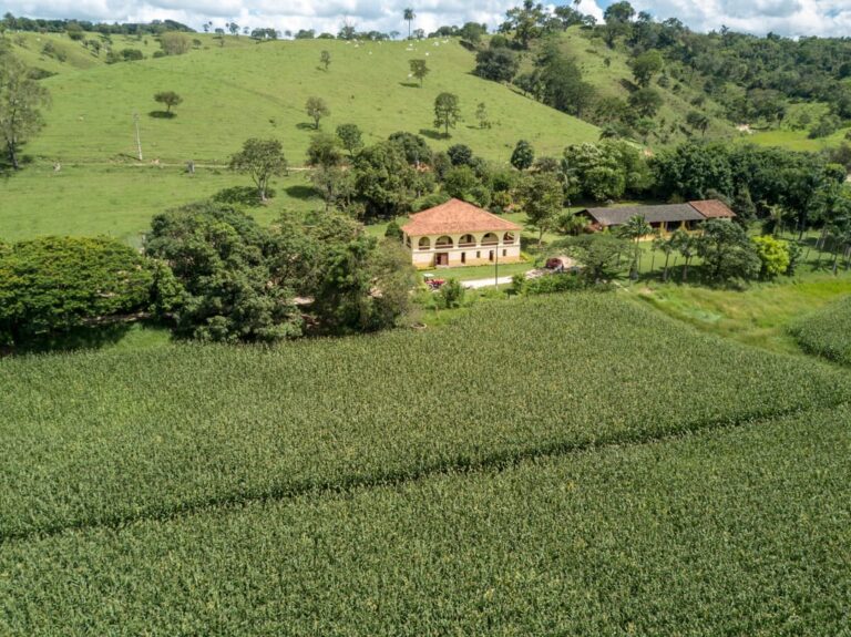 Chá Solidário do Laiite na Fazenda Vista Alegre