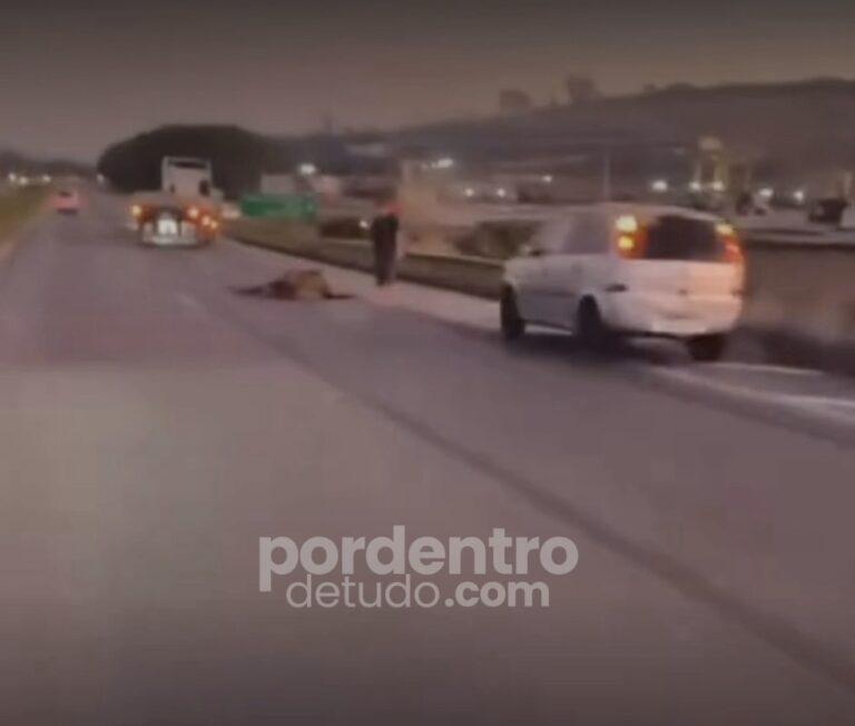 VÍDEO: Acidente envolvendo carro e cavalos deixa trânsito em alerta na MG-424